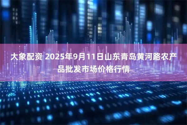 大象配资 2025年9月11日山东青岛黄河路农产品批发市场价格行情