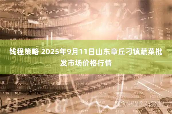 钱程策略 2025年9月11日山东章丘刁镇蔬菜批发市场价格行情