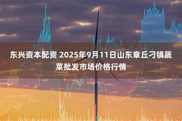 东兴资本配资 2025年9月11日山东章丘刁镇蔬菜批发市场价格行情