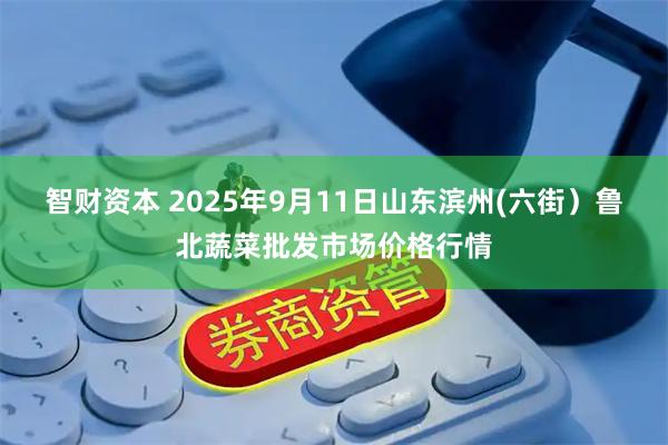智财资本 2025年9月11日山东滨州(六街）鲁北蔬菜批发市场价格行情