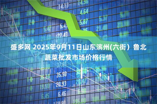 盛多网 2025年9月11日山东滨州(六街）鲁北蔬菜批发市场价格行情