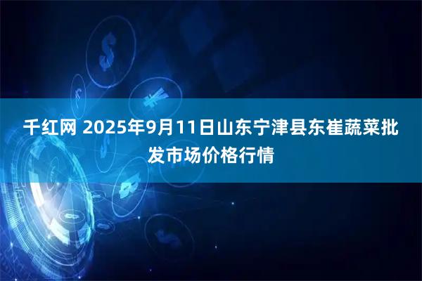 千红网 2025年9月11日山东宁津县东崔蔬菜批发市场价格行情