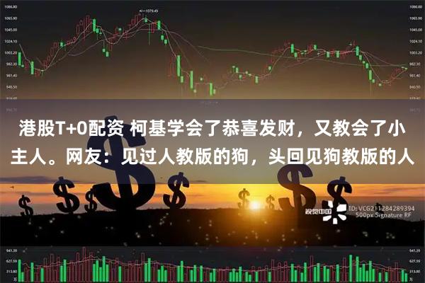 港股T+0配资 柯基学会了恭喜发财，又教会了小主人。网友：见过人教版的狗，头回见狗教版的人