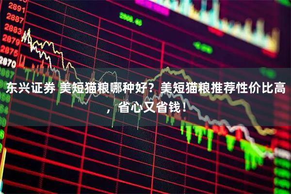 东兴证券 美短猫粮哪种好？美短猫粮推荐性价比高，省心又省钱！