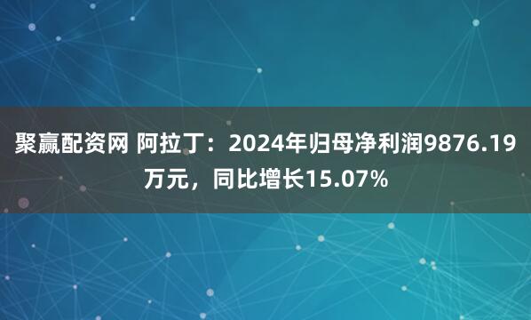聚赢配资网 阿拉丁：2024年归母净利润9876.19万元，同比增长15.07%