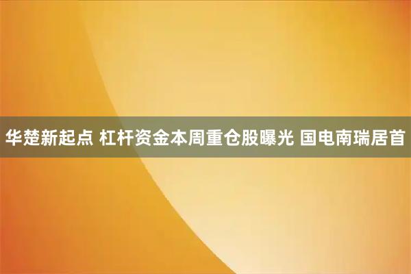 华楚新起点 杠杆资金本周重仓股曝光 国电南瑞居首
