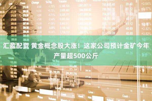 汇盈配资 黄金概念股大涨！这家公司预计金矿今年产量超500公斤