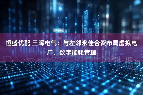 恒盛优配 三晖电气：与左邻永佳合资布局虚拟电厂、数字能耗管理